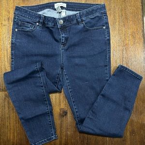 Lane Bryant Jeans